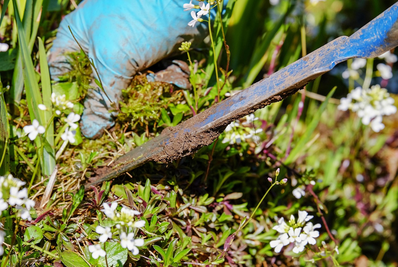 gardening, garden, weed, pluck, weeding, ornamental garden, garden tool, shovel, deep-seated, root, nature, remove, spring