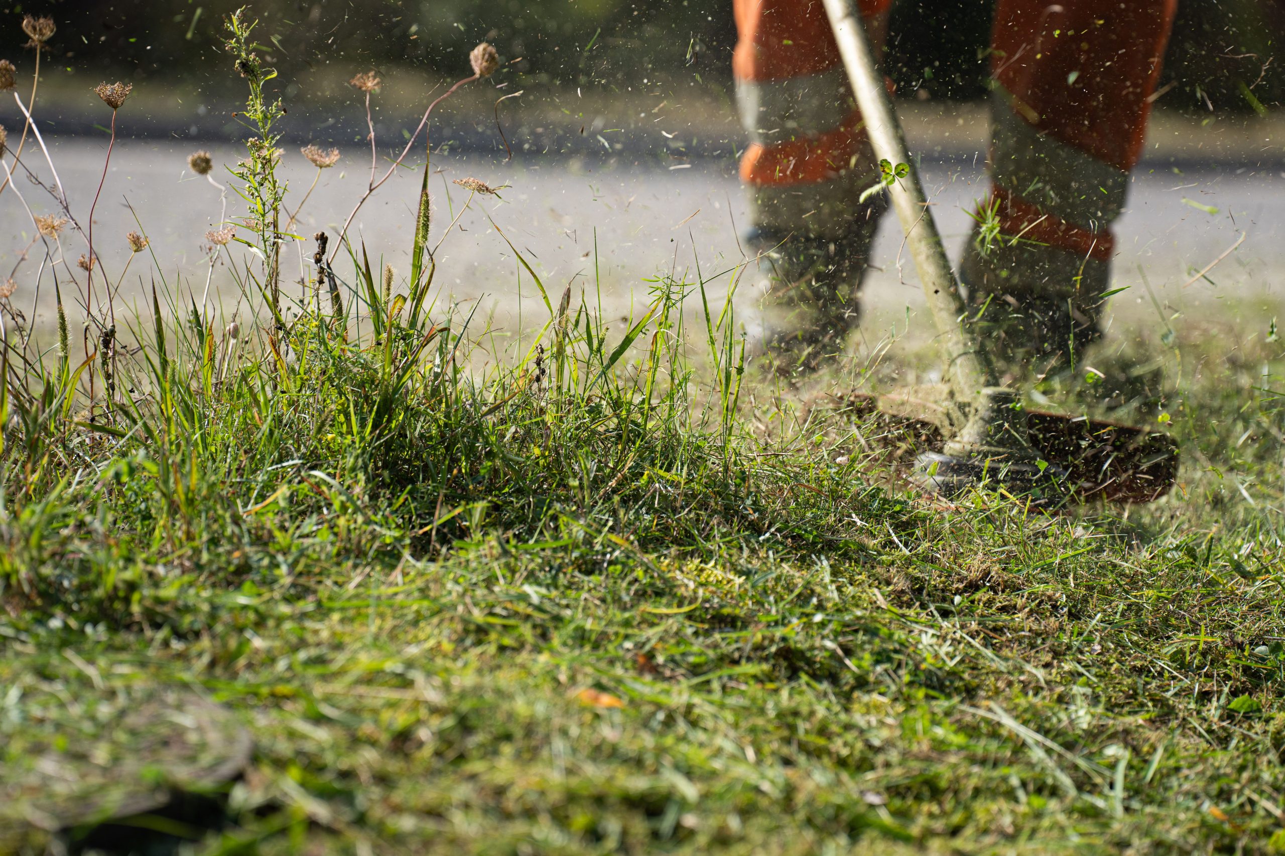 A worker in protective gear using a grass cutter to trim grass, capturing the dynamic action and flying clippings.