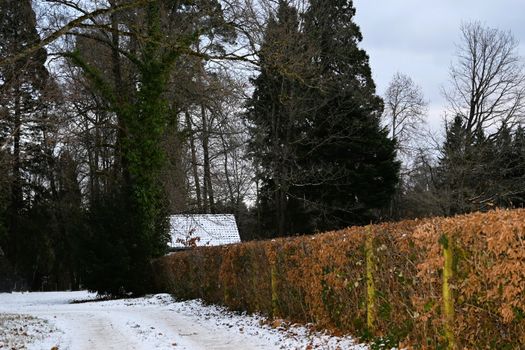 Snow-covered path in a quiet forest in Baden-Württemberg, Germany, during winter.