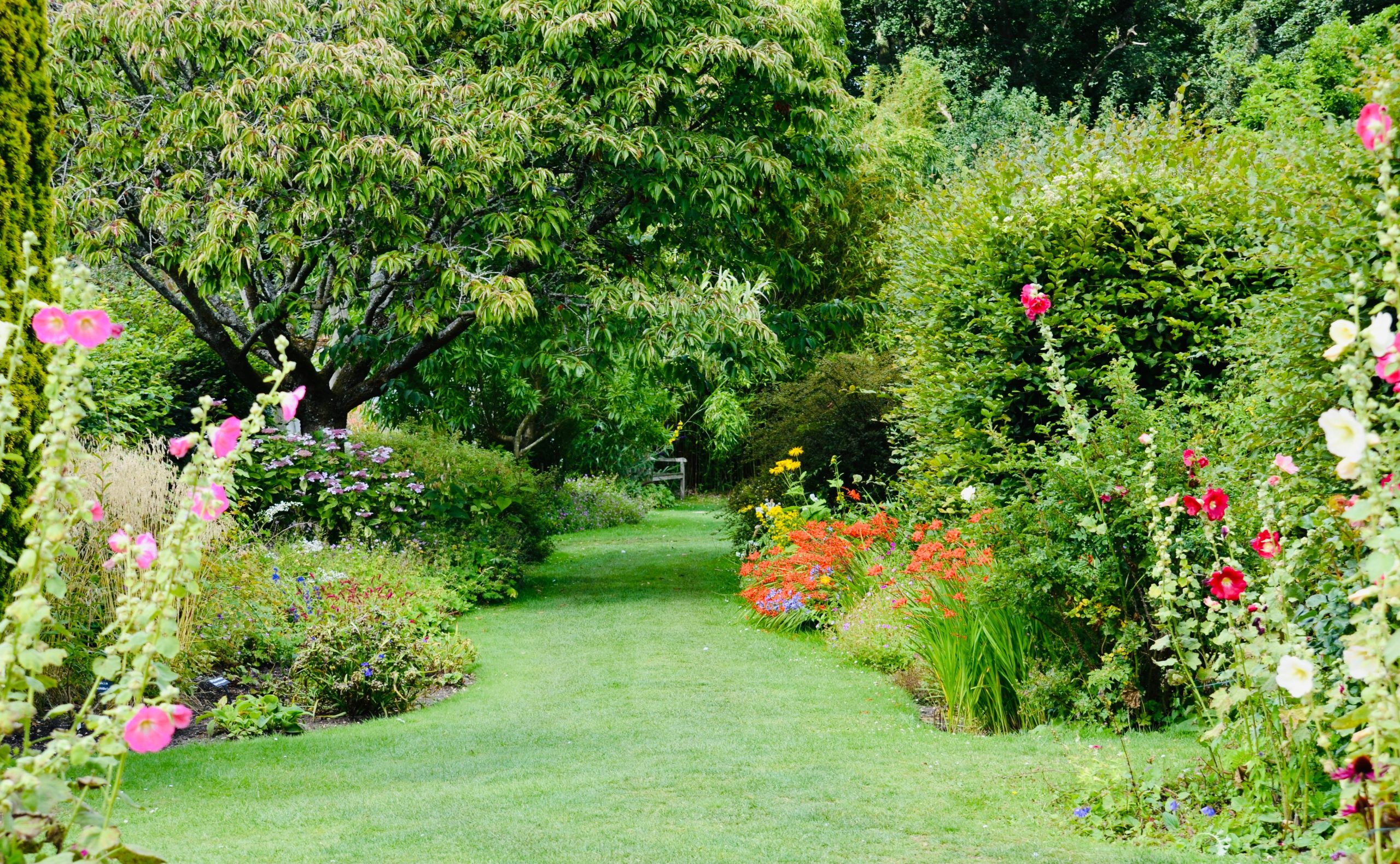 A vibrant garden pathway surrounded by blooming flowers and lush greenery, perfect for summer strolls.